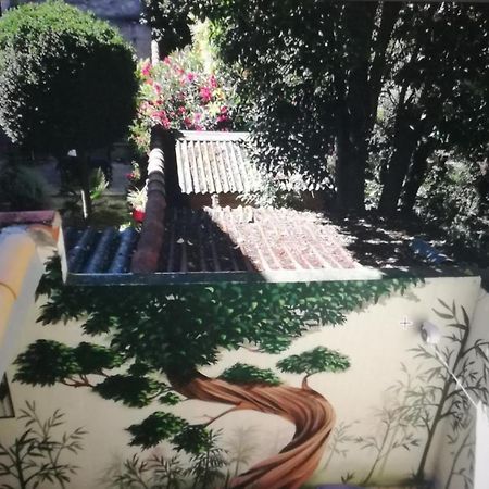 Suite Farniente Avec Patio Et Clim Montpellier Eksteriør billede