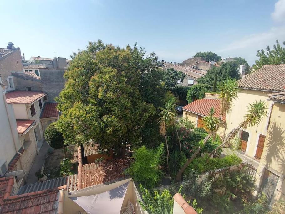 Suite Farniente Avec Patio Et Clim Montpellier Eksteriør billede